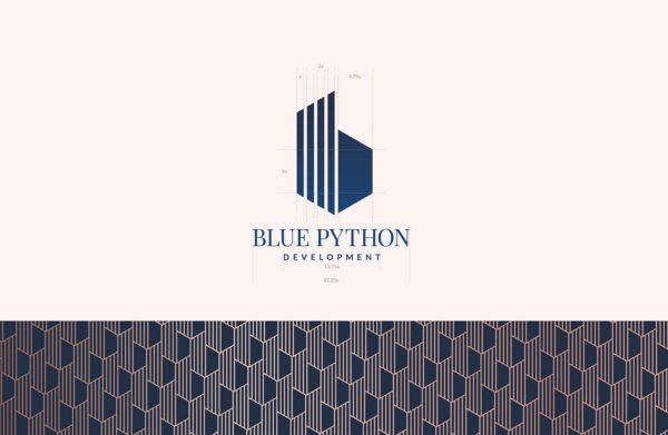 Blue Python Brand Identity | Wishbox Studio